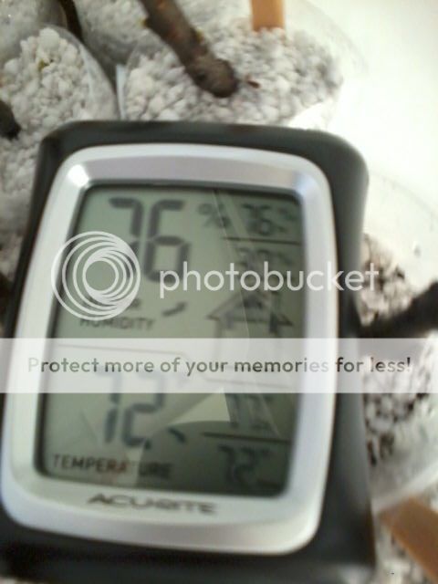 [Humid02_zps461336c7]