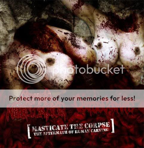 Cdm 8940 Bromsgrove Models